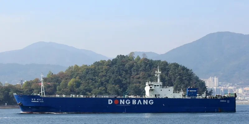 DONGBANG ACE Ro-Ro IMO 9331440 photo 6