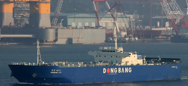DONGBANG ACE Ro-Ro IMO 9331440 photo 8
