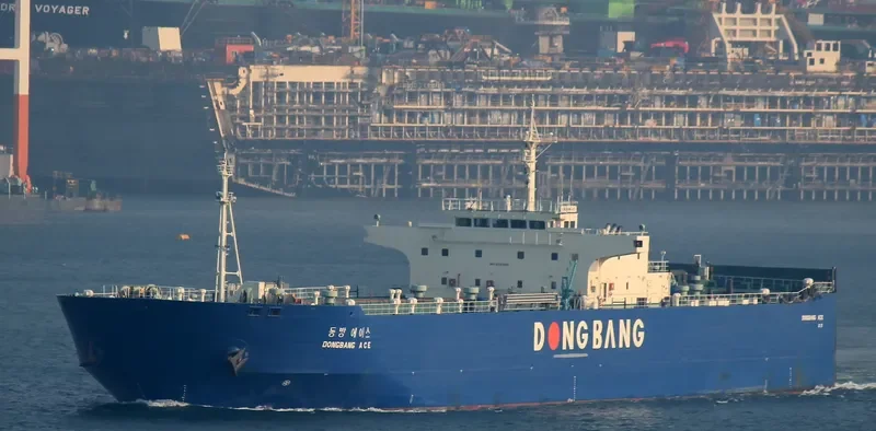 DONGBANG ACE Ro-Ro IMO 9331440 photo 9