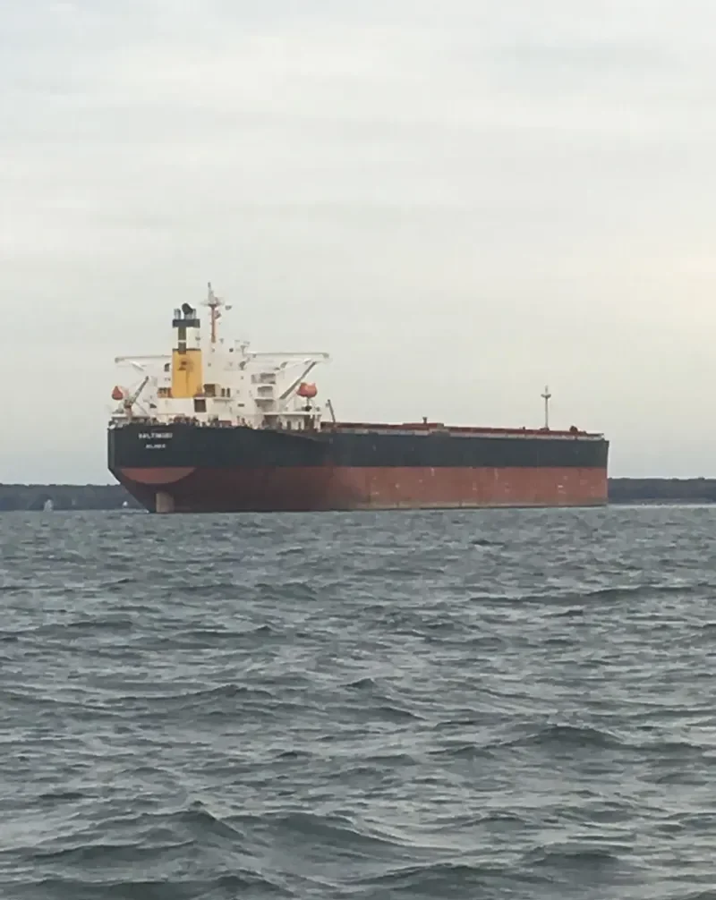 BALTIMORE Bulk Carrier IMO 9331464