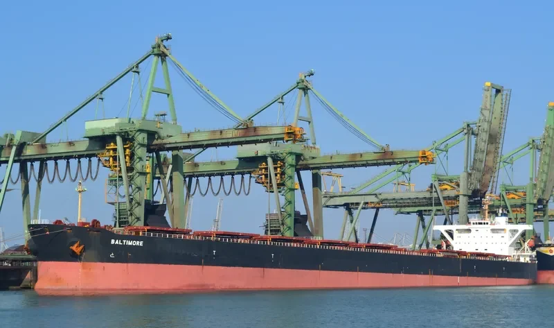 BALTIMORE Bulk Carrier IMO 9331464 photo 3