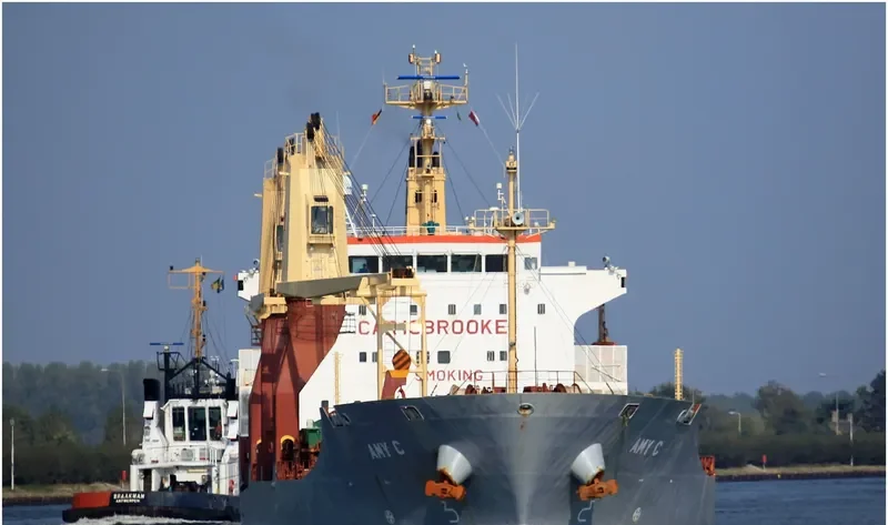 SIDER AMY General Cargo IMO 9331505 photo 6