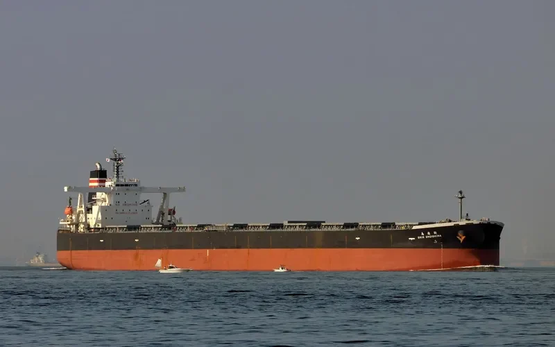 SHIN OHGISHIMA Bulk Carrier IMO 9331517 photo 3