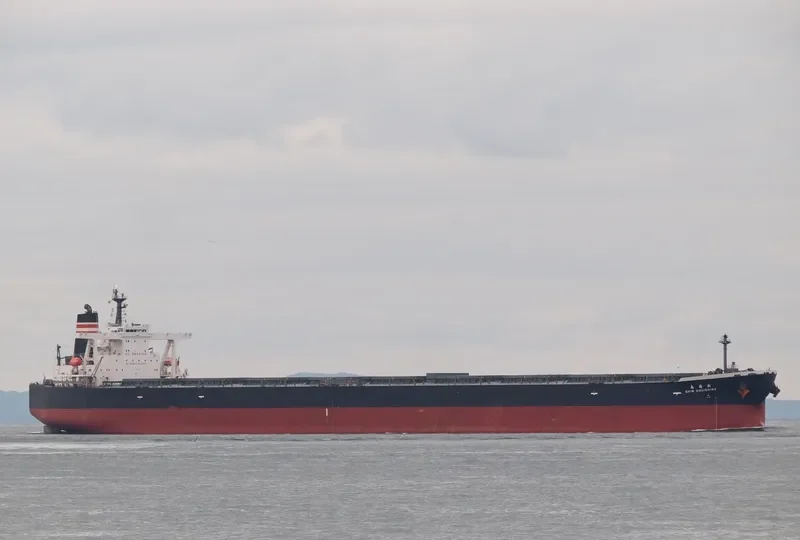 SHIN OHGISHIMA Bulk Carrier IMO 9331517 photo 4