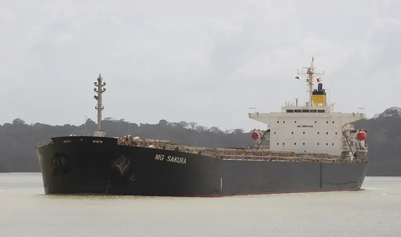 ANEMOS Bulk Carrier IMO 9331529