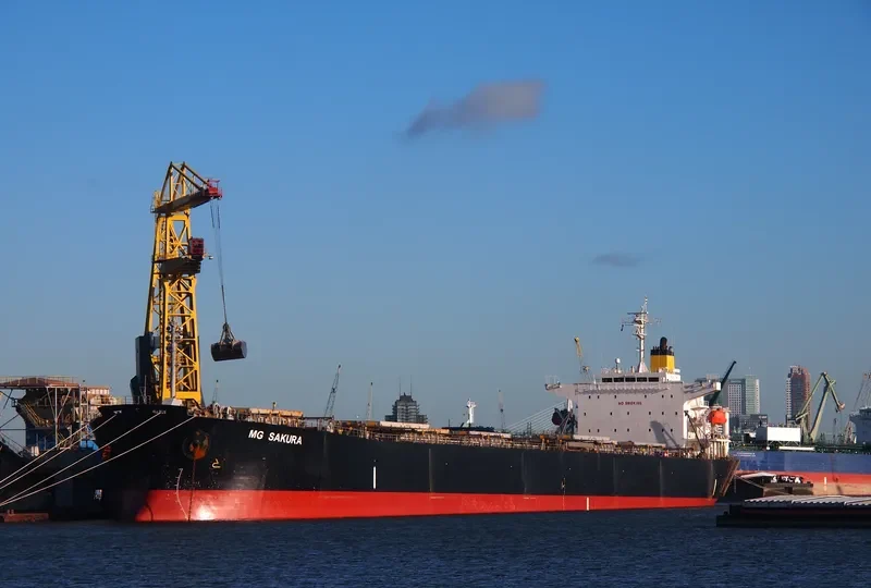 ANEMOS Bulk Carrier IMO 9331529 photo 2
