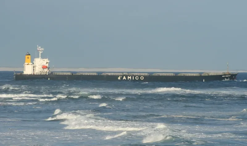 ANEMOS Bulk Carrier IMO 9331529 photo 6