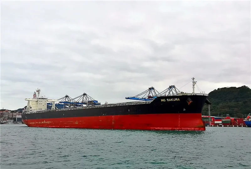 ANEMOS Bulk Carrier IMO 9331529 photo 7