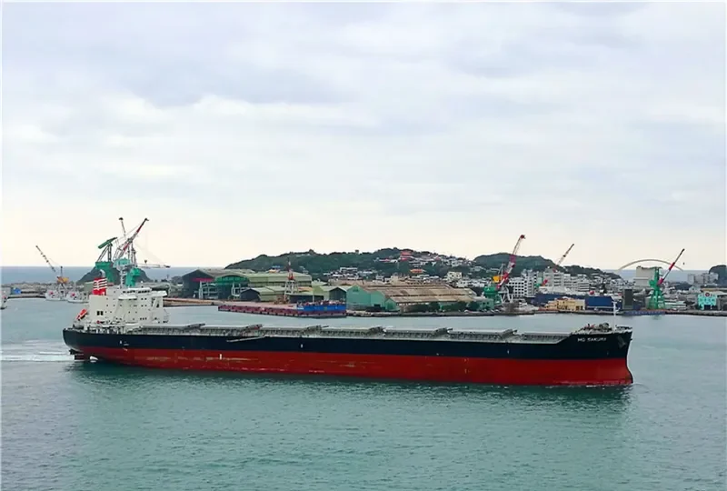 ANEMOS Bulk Carrier IMO 9331529 photo 8