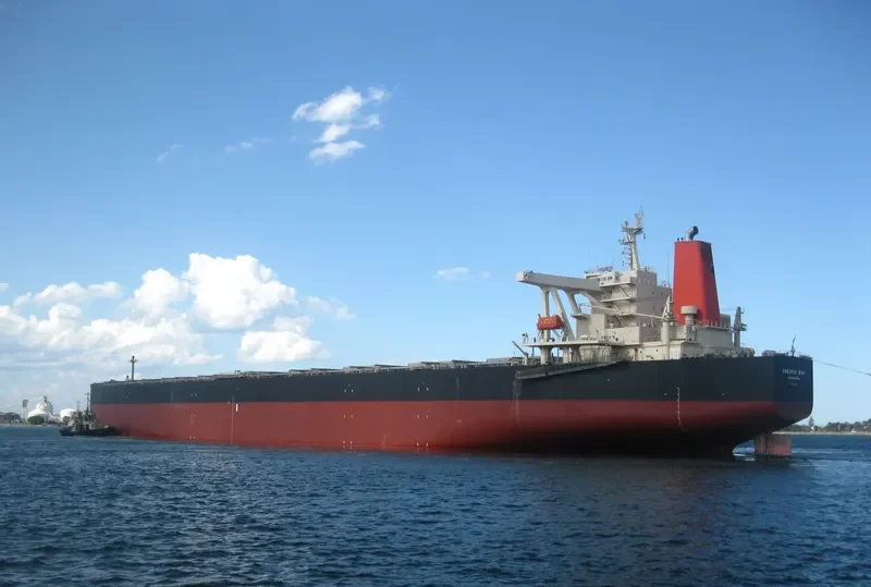 PACIFIC OAK Bulk Carrier IMO 9331531 photo 4