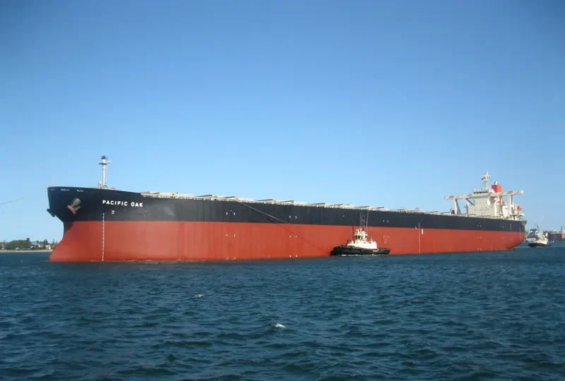 PACIFIC OAK Bulk Carrier IMO 9331531 photo 6