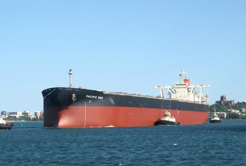 PACIFIC OAK Bulk Carrier IMO 9331531 photo 7