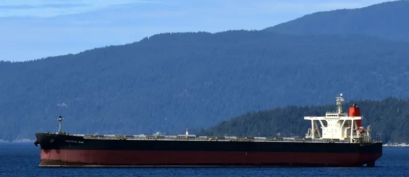 PACIFIC OAK Bulk Carrier IMO 9331531 photo 8