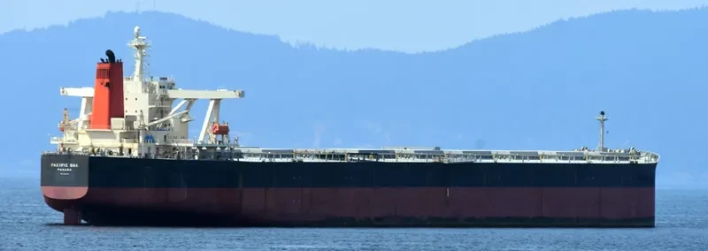 PACIFIC OAK Bulk Carrier IMO 9331531 photo 10