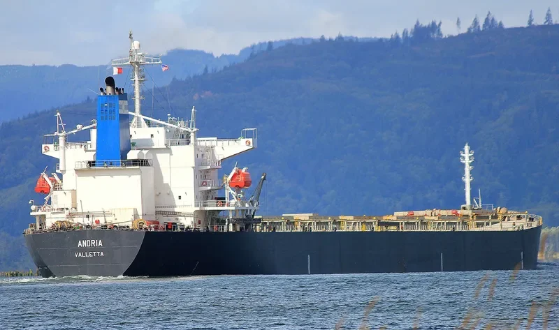 ANDRIA Bulk Carrier IMO 9331543