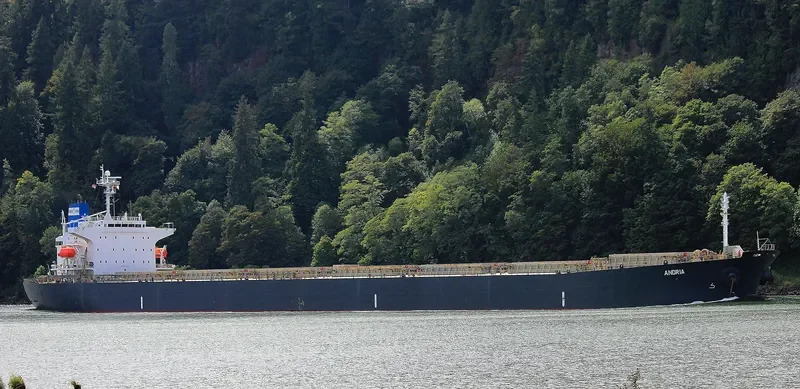 ANDRIA Bulk Carrier IMO 9331543 photo 3