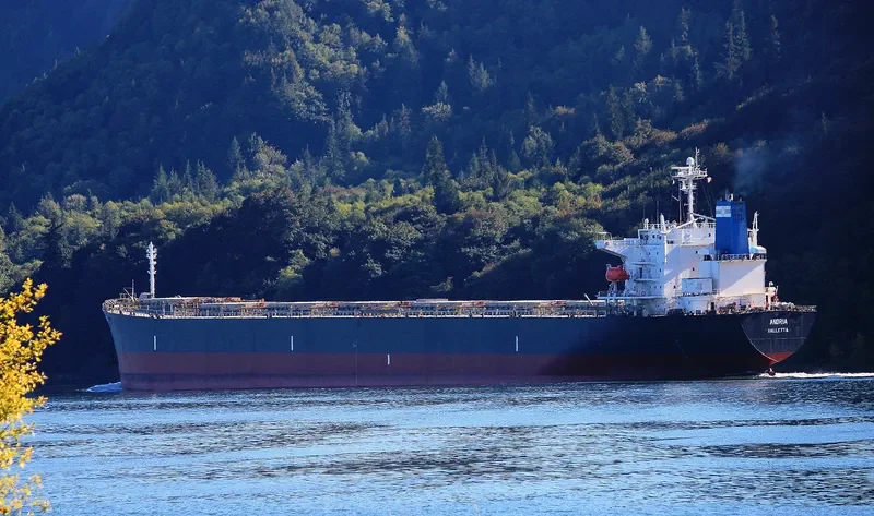 ANDRIA Bulk Carrier IMO 9331543 photo 4