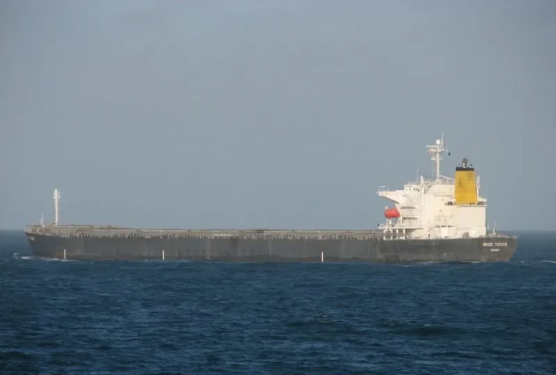 ANDRIA Bulk Carrier IMO 9331543 photo 10