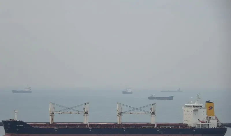 AP DRZIC Bulk Carrier IMO 9331684