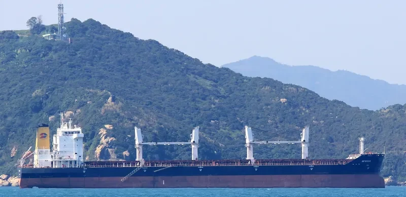 AP DRZIC Bulk Carrier IMO 9331684 photo 2