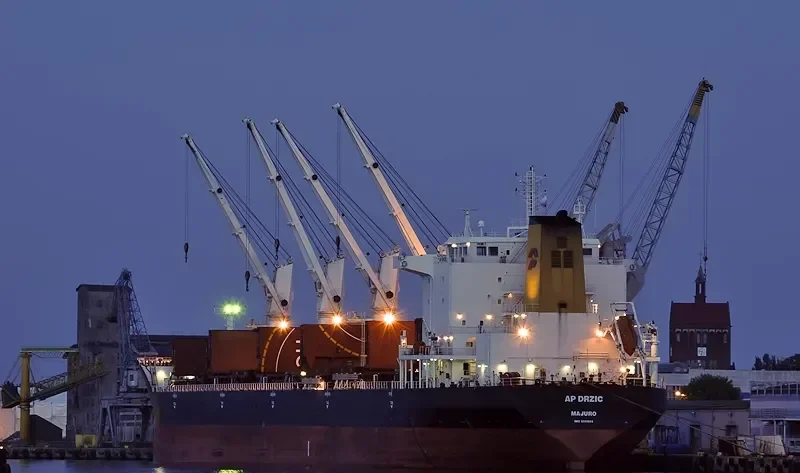 AP DRZIC Bulk Carrier IMO 9331684 photo 4