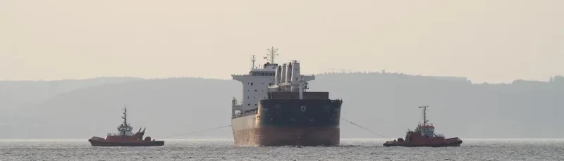 AP DRZIC Bulk Carrier IMO 9331684 photo 5