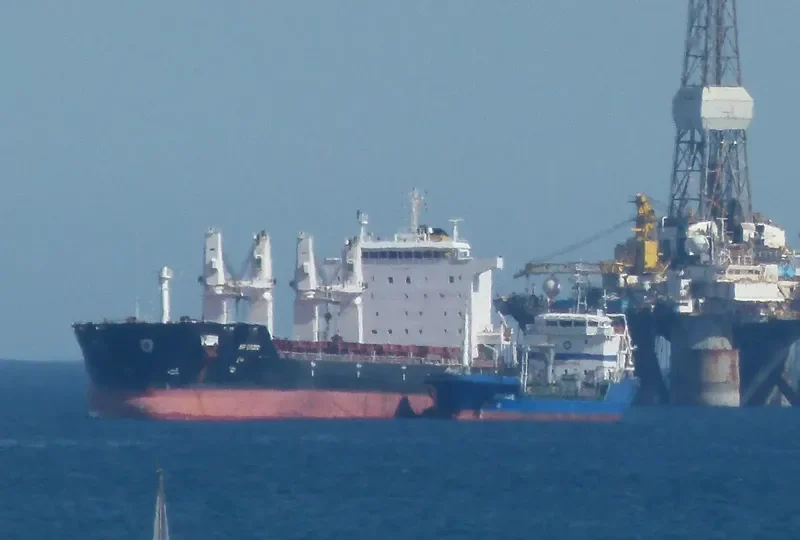 AP DRZIC Bulk Carrier IMO 9331684 photo 6