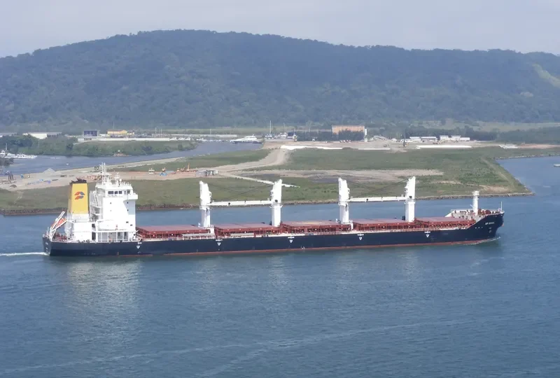 AP DRZIC Bulk Carrier IMO 9331684 photo 7
