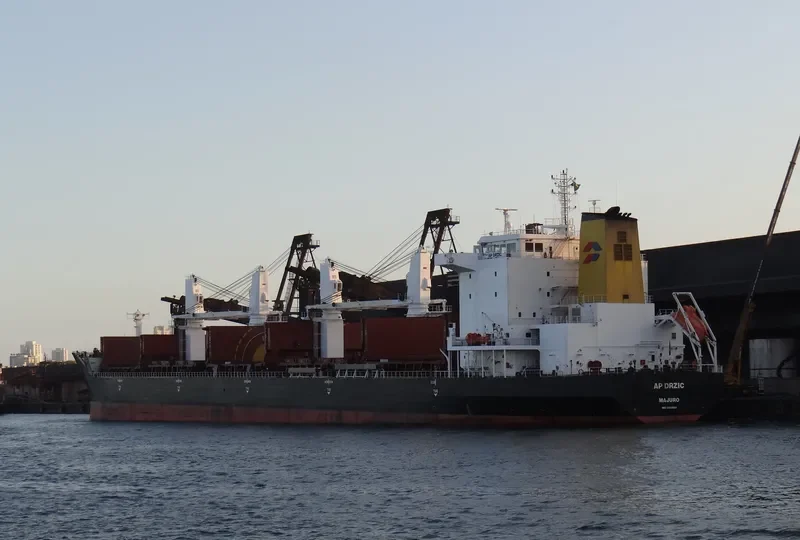 AP DRZIC Bulk Carrier IMO 9331684 photo 9