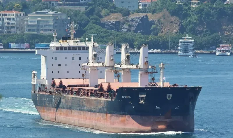 AP DRZIC Bulk Carrier IMO 9331684 photo 10
