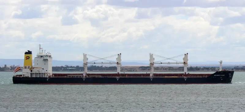 AP SVETI VLAHO Bulk Carrier IMO 9331696 photo 2