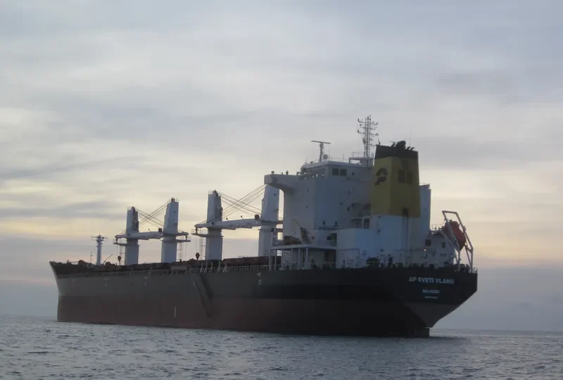 AP SVETI VLAHO Bulk Carrier IMO 9331696 photo 6