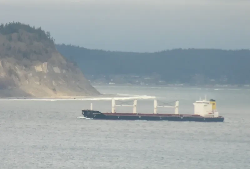 AP SVETI VLAHO Bulk Carrier IMO 9331696 photo 9