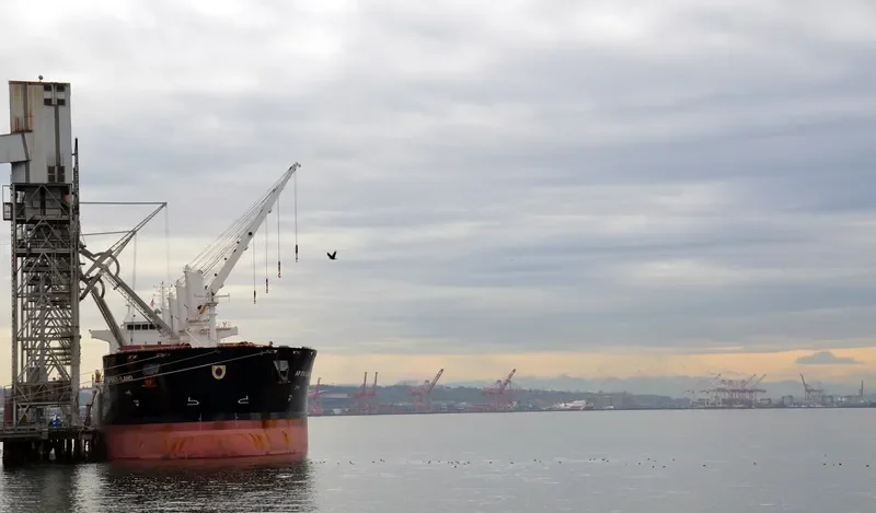 AP SVETI VLAHO Bulk Carrier IMO 9331696 photo 10