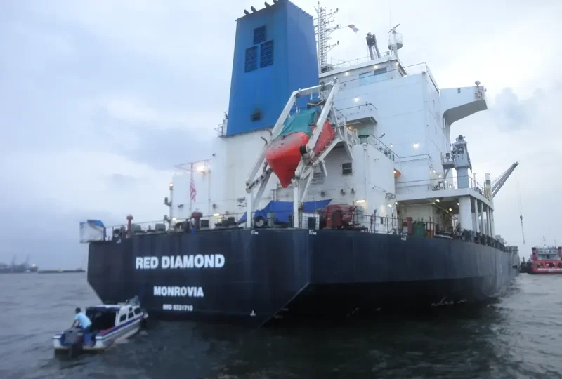 RED DIAMOND Bulk Carrier IMO 9331713