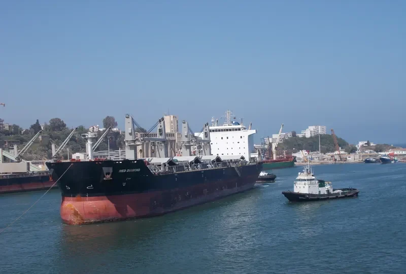 RED DIAMOND Bulk Carrier IMO 9331713 photo 2