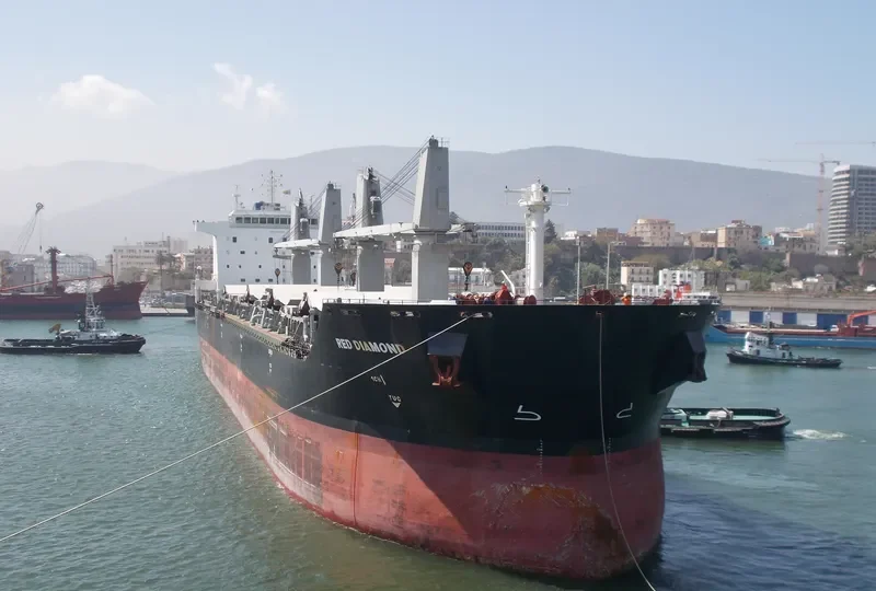 RED DIAMOND Bulk Carrier IMO 9331713 photo 3