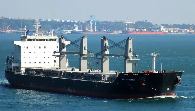 RED DIAMOND Bulk Carrier IMO 9331713 photo 7