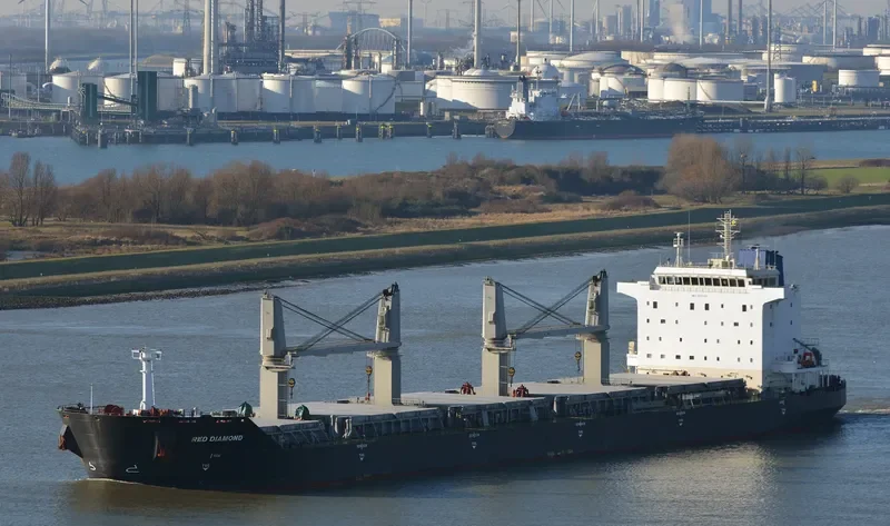 RED DIAMOND Bulk Carrier IMO 9331713 photo 21