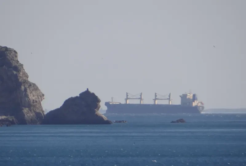 RED DIAMOND Bulk Carrier IMO 9331713 photo 27
