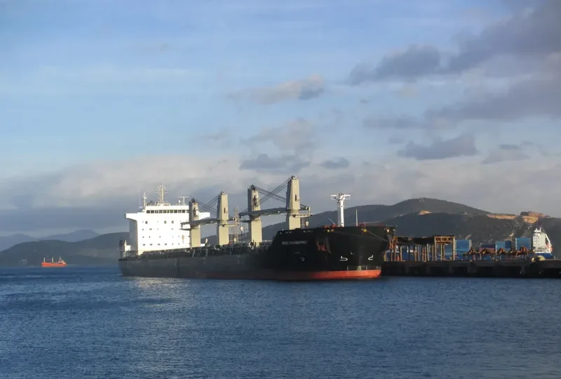 RED DIAMOND Bulk Carrier IMO 9331713 photo 29