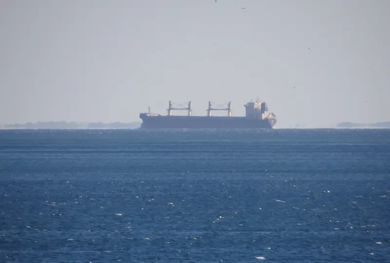 RED DIAMOND Bulk Carrier IMO 9331713 photo 35