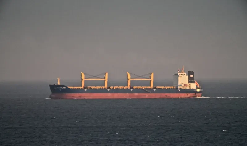 ASIA ZIRCON I Bulk Carrier IMO 9331749 photo 8