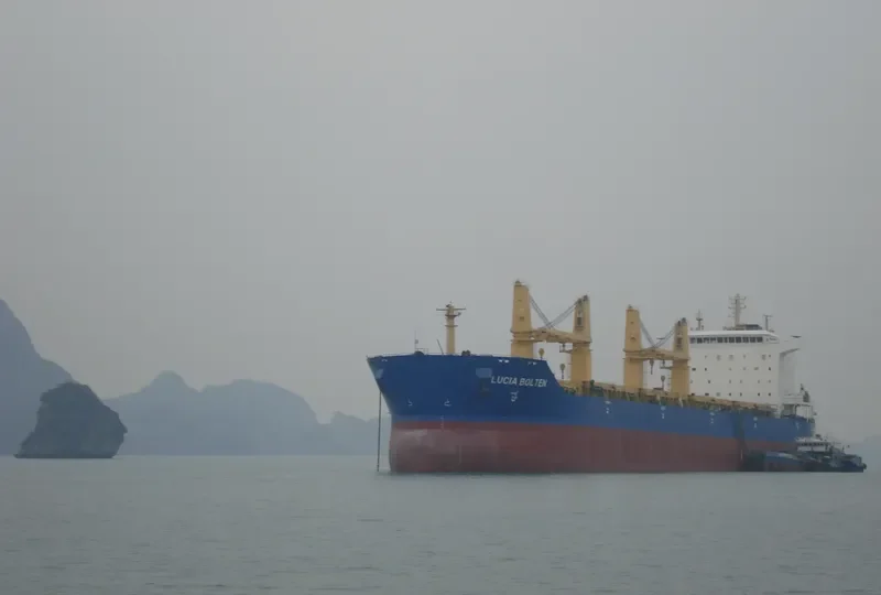 ASIA ZIRCON I Bulk Carrier IMO 9331749 photo 10
