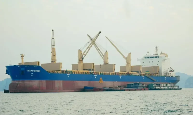TM HAI HA 988 Bulk Carrier IMO 9331751