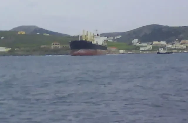 VINALINES SUNRISE Bulk Carrier IMO 9331878 photo 3