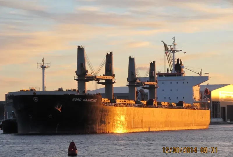 ORION Bulk Carrier IMO 9331880 photo 4
