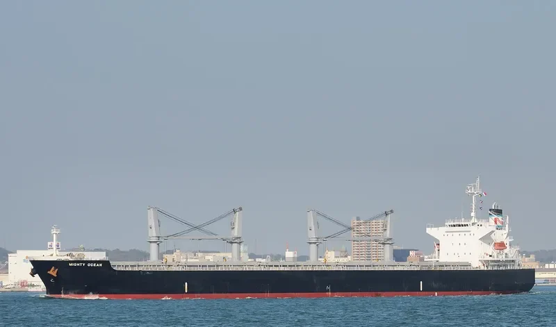 HAI LONG Bulk Carrier IMO 9331892 photo 3