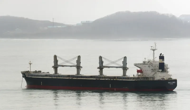 HAI LONG Bulk Carrier IMO 9331892 photo 8