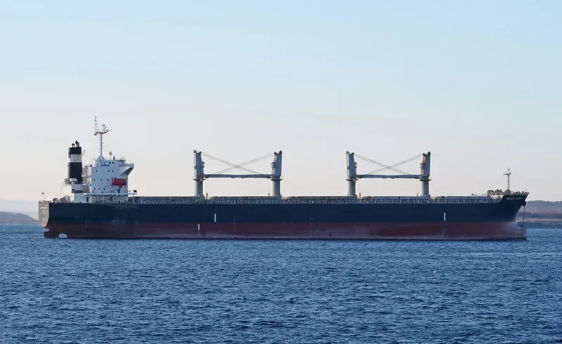 HAI LONG Bulk Carrier IMO 9331892 photo 10